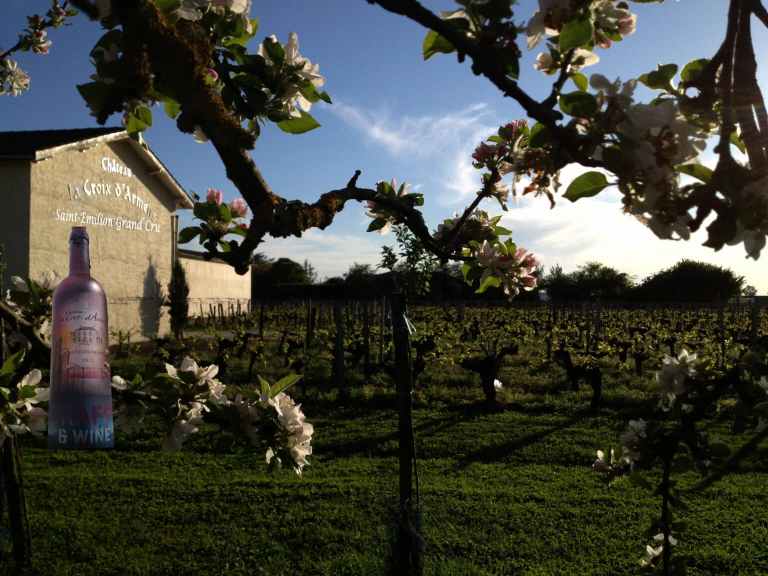 Bandeau Château la Croix d'Armens