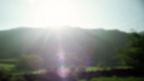 Bandeau Château La Fleur Morange