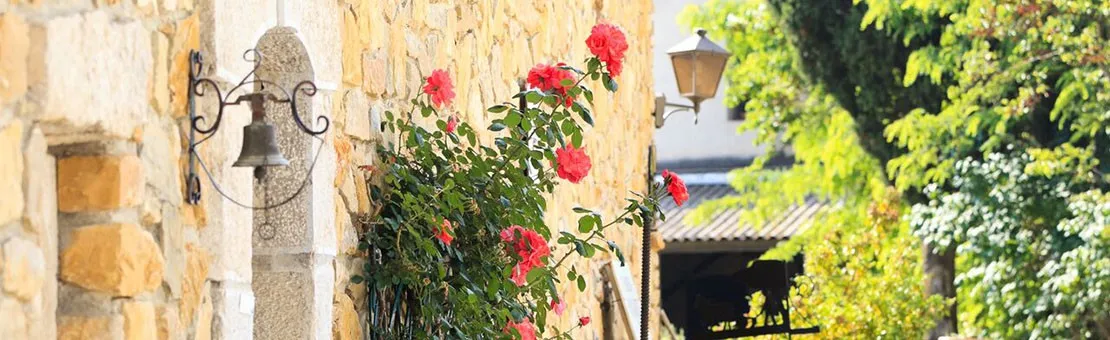 Photo de Château La NOBLESSE