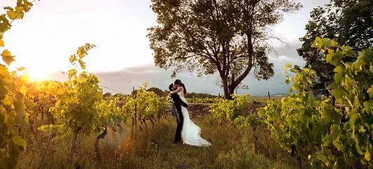 Photo de Château La Villatade