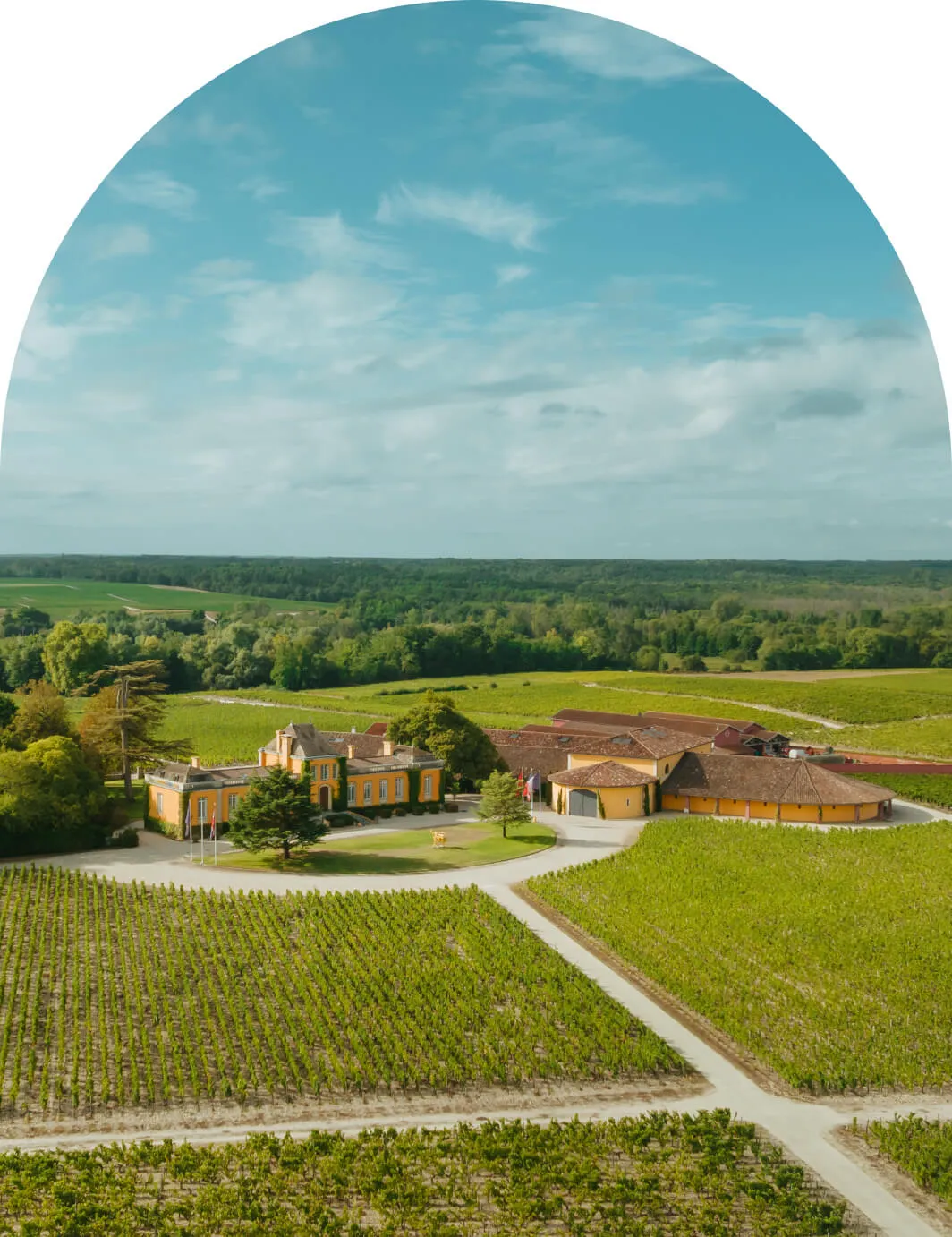 Bandeau Château LAFON ROCHET