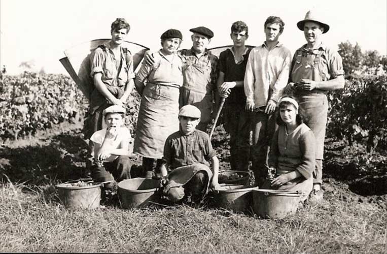 Château Lapinesse - M Siozard