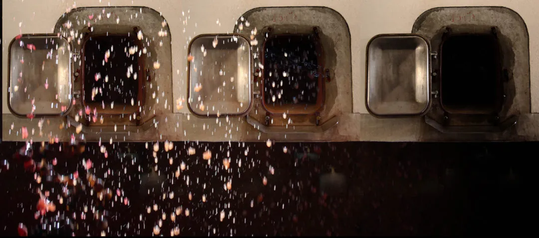 Bandeau Château Le Devoy Martine