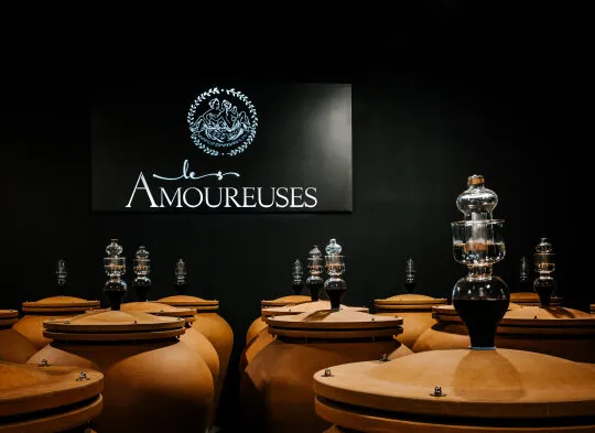 Photo de CHATEAU LES AMOUREUSES