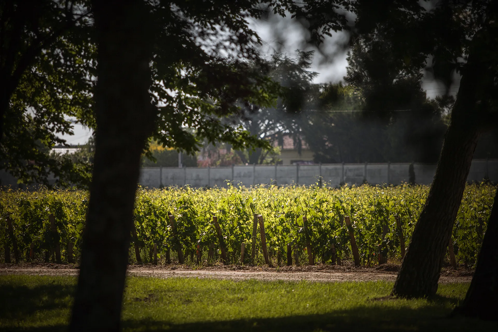 Château les Carmes Haut-Brion