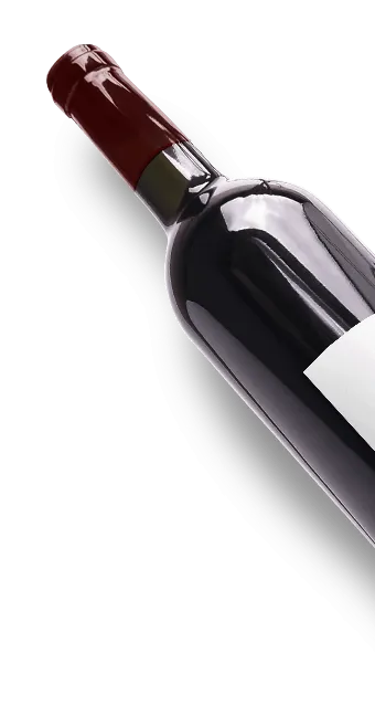 Château Les Guyonnets