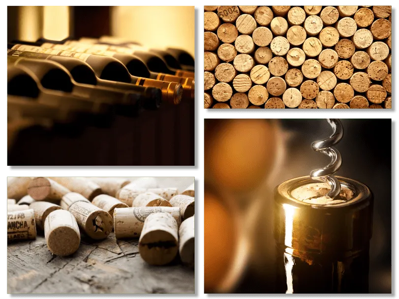 CHATEAU LESTOURS-CLOCHER