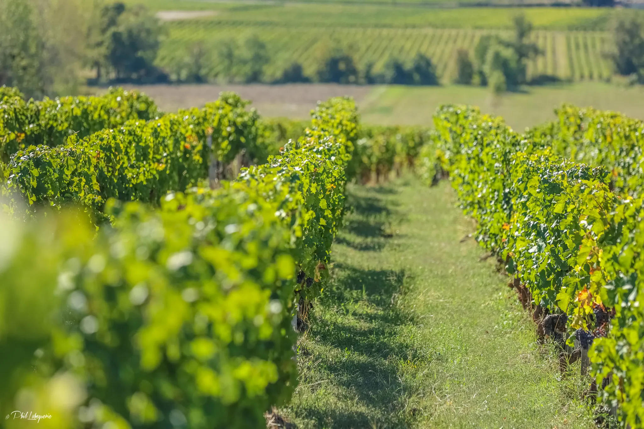 Château Mondésir-Gazin