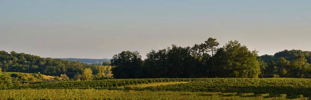 Bandeau CHATEAU PETIT FOMBRAUGE