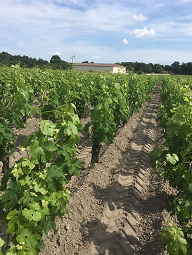 CHÂTEAU PEY MALLET - ALBOUY