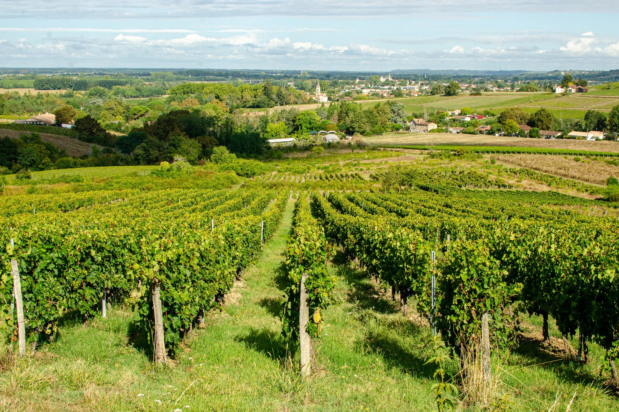 Bandeau CHÂTEAU PEYBRUN