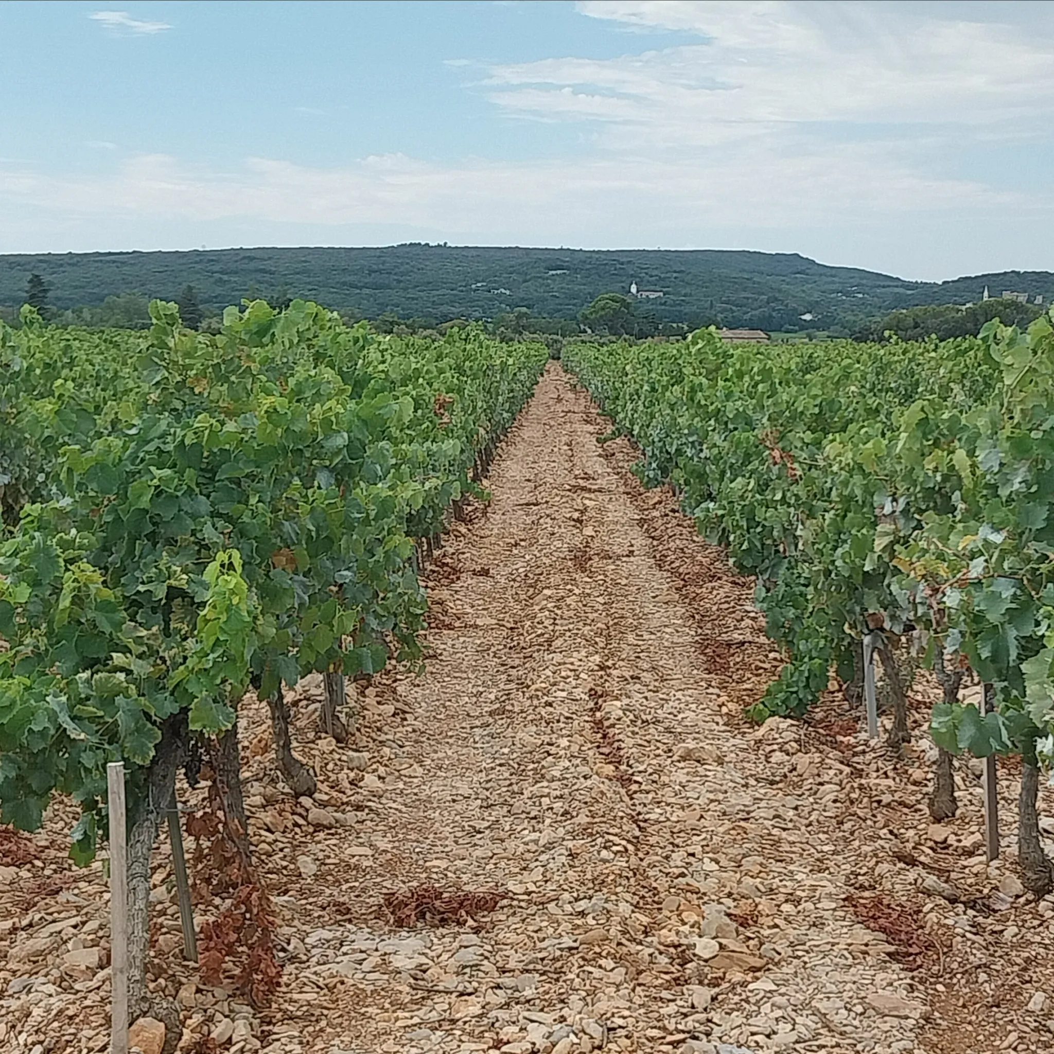 Château Saint-Gobain