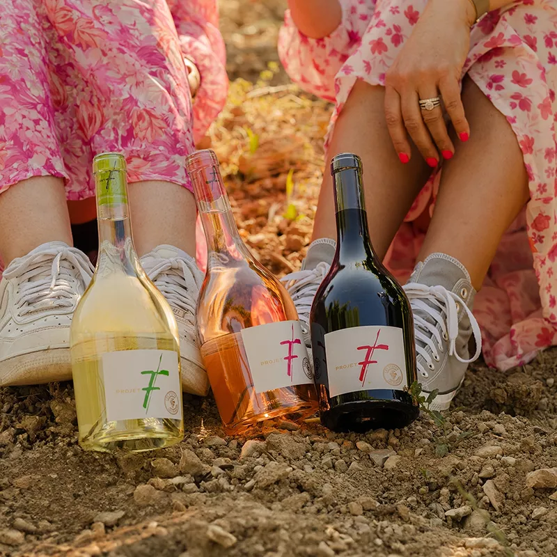 Photo de Château Saint Roch