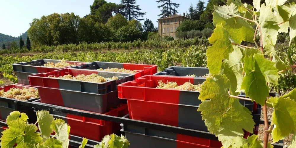 Château Sainte-Anne Françoise et Jean-Baptiste DUTHEIL