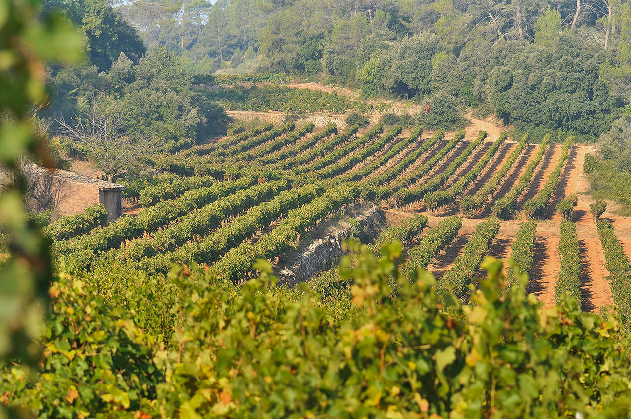 Bandeau Château Sainte Croix