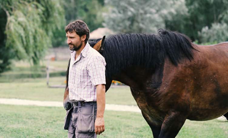 Bandeau Château Smith Haut Lafitte