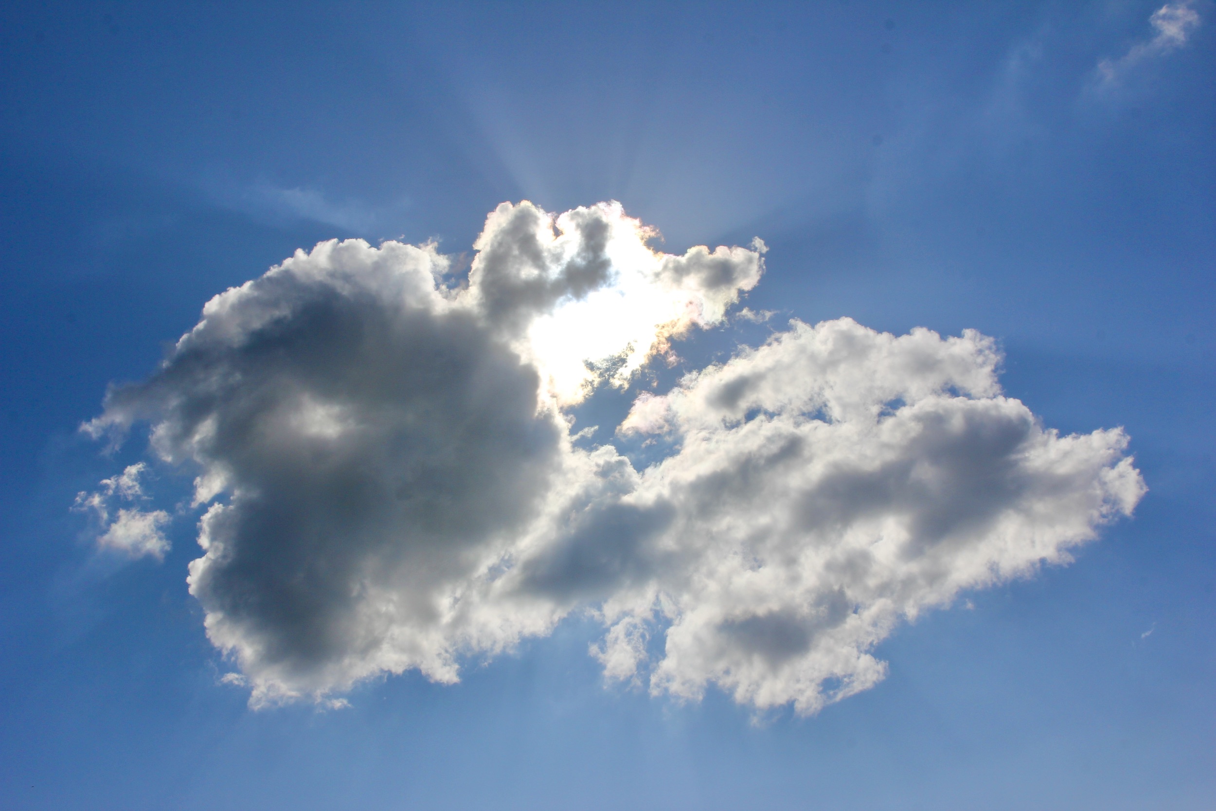 Bandeau CHÂTEAU TERRE VIEILLE PECHARMANT