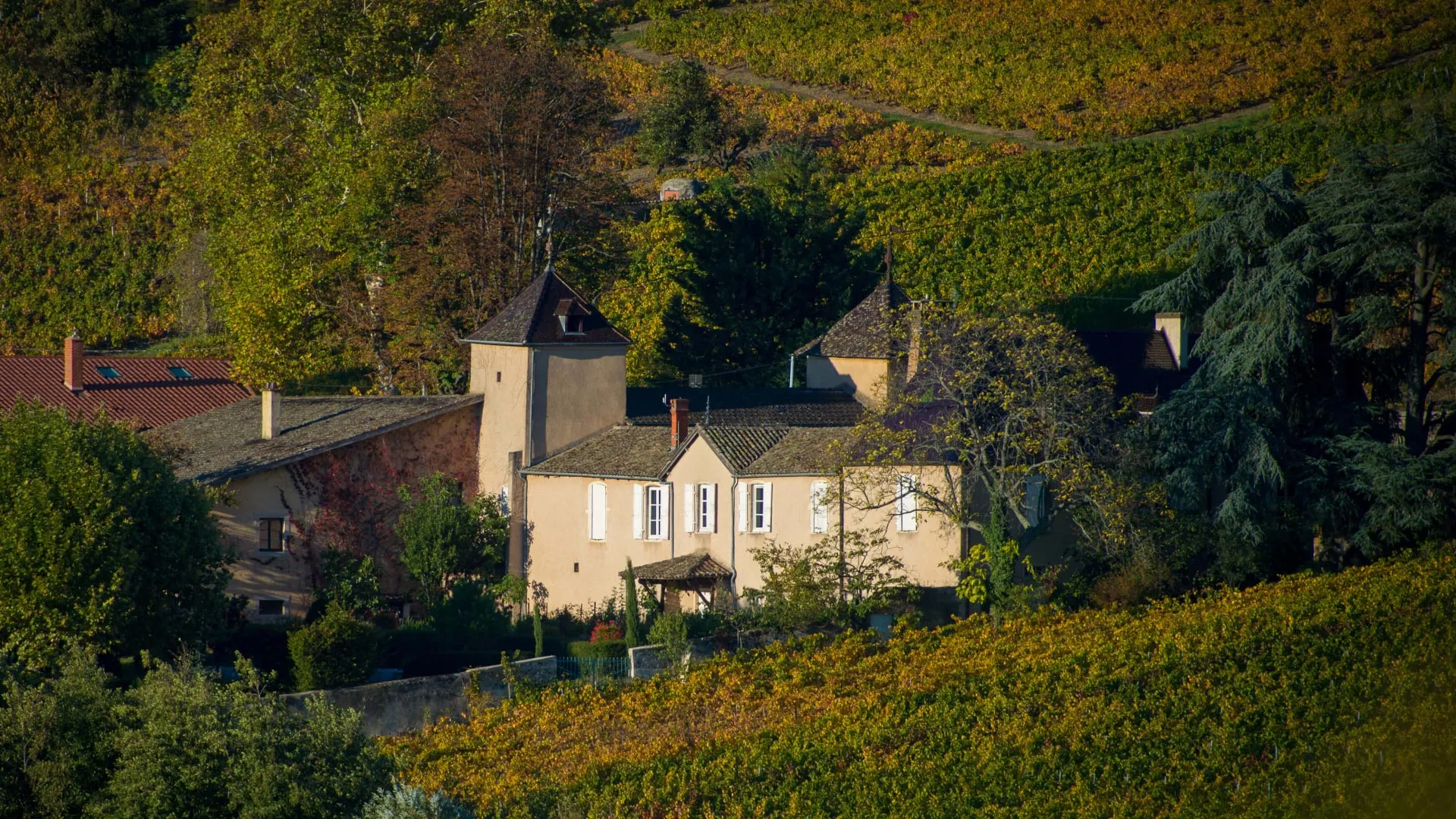 Château Thivin Famille GEOFFRAY (Claude & Sonja)