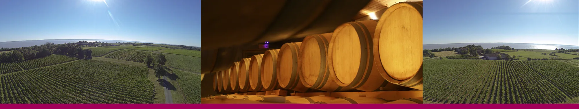 Château Tour Castillon, vignobles Peyruse