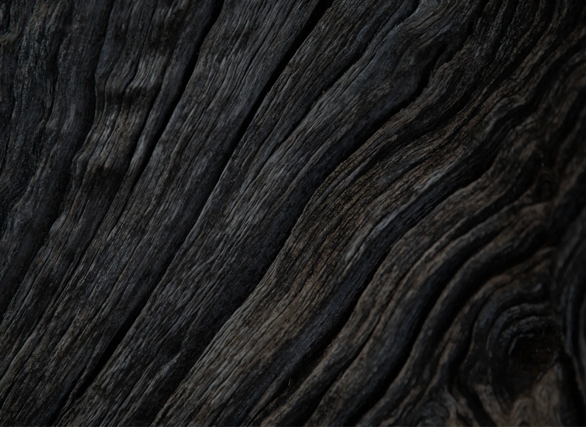 CHATEAU TOUR DE MIRAVAL