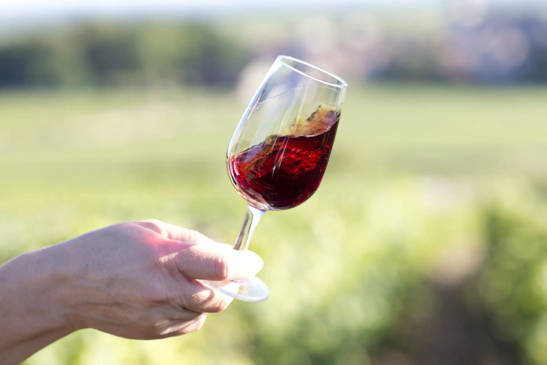 Bandeau Cité des Climats et des vins de Bourgogne - Beaune