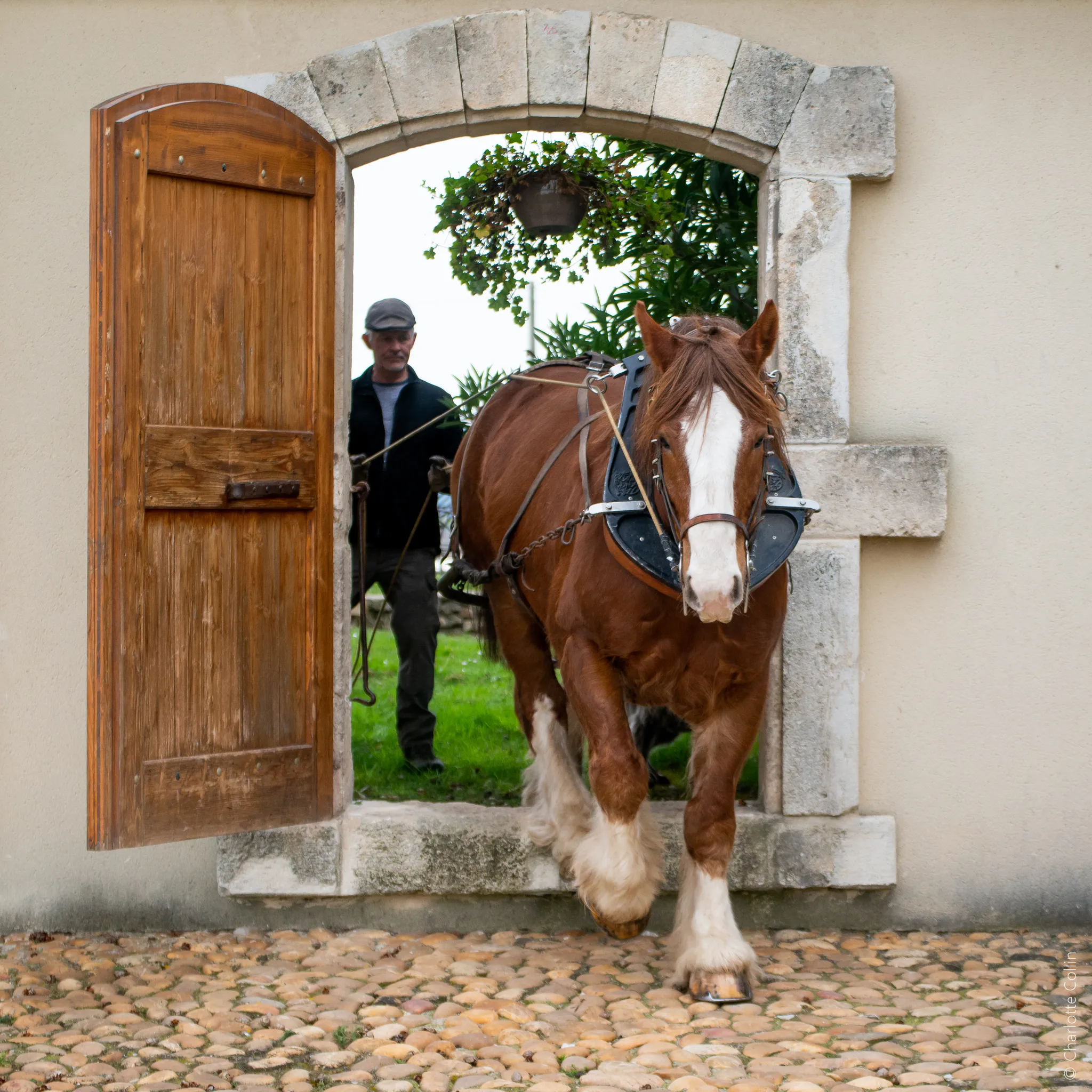 Photo de Clos des Sources
