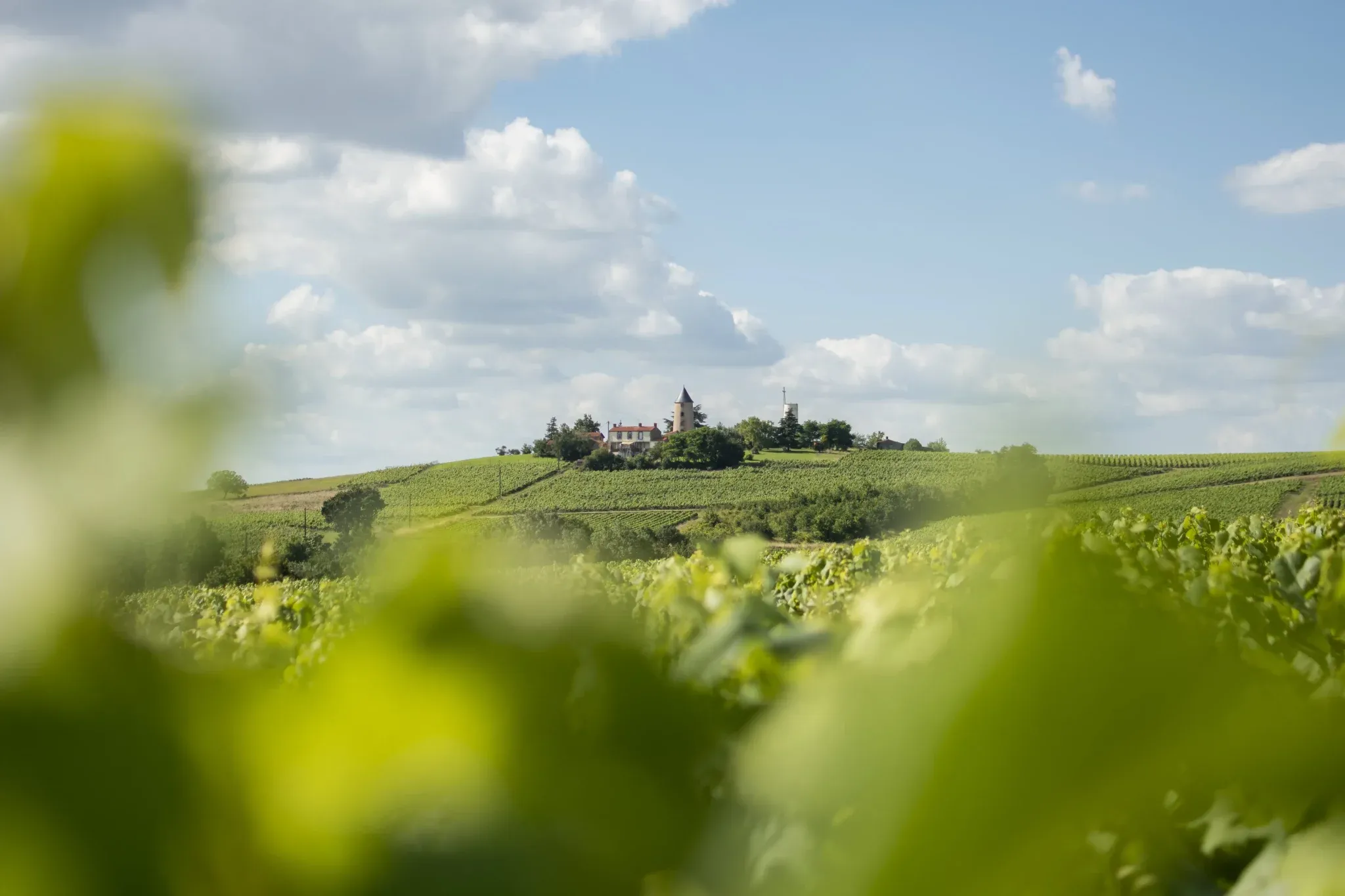 Photo de Clos Tho, mas et Gérard Ménard