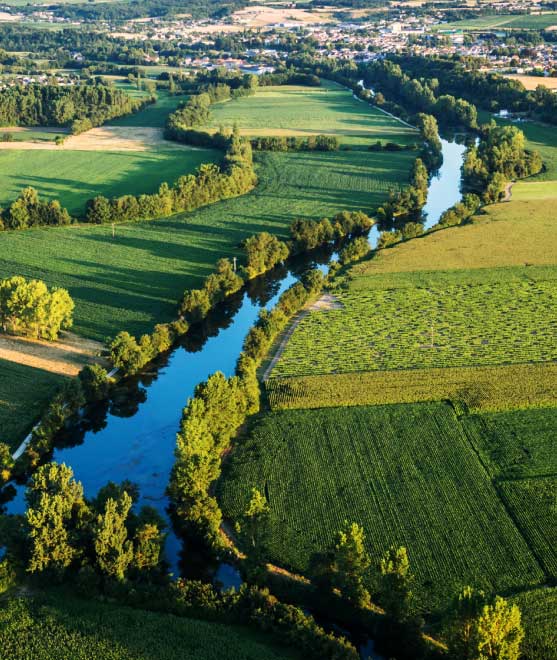 Bandeau COGNAC EMBOUTEILLAGE