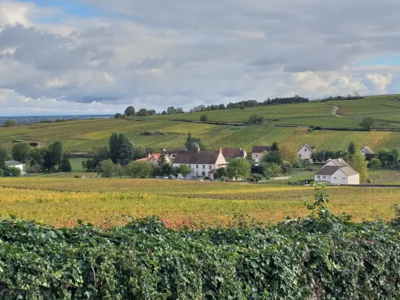 CREUSEFOND ALAIN ET VINCENT