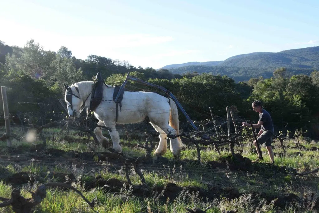 Bandeau DOM & TERRE Dominique Terrien