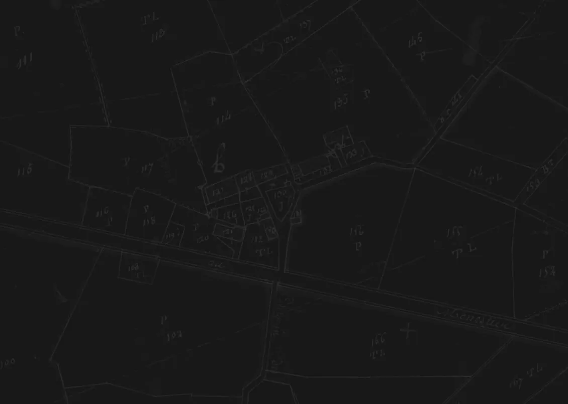 Bandeau Domaine Albert de Conti