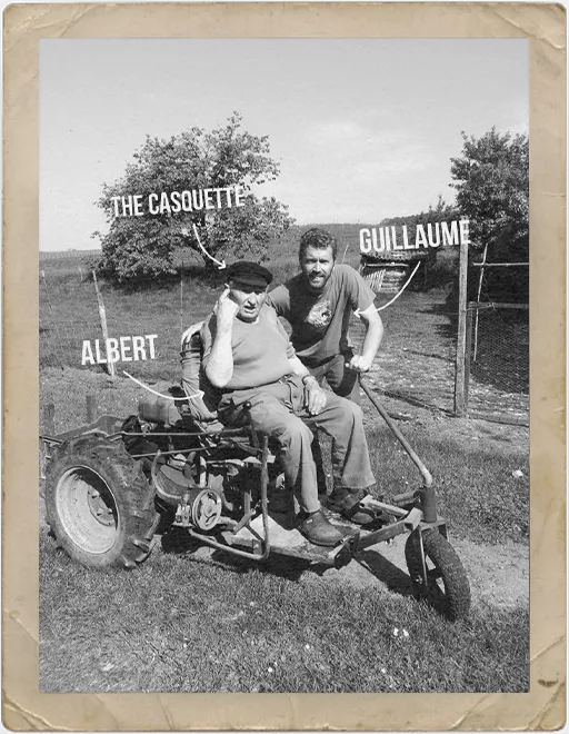 Photo de Domaine Albert de Conti