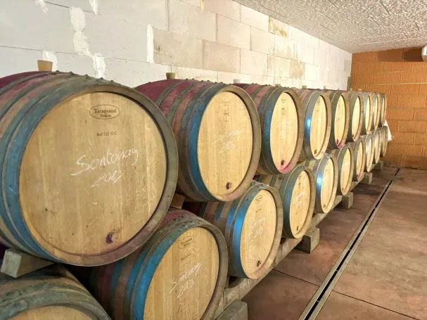 DOMAINE ALEXANDRE