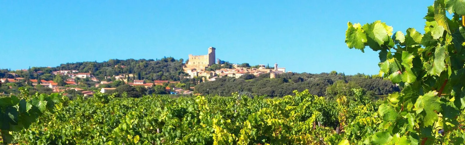 Domaine ANDRÉ MATHIEU ANDRÉ MATHIEU