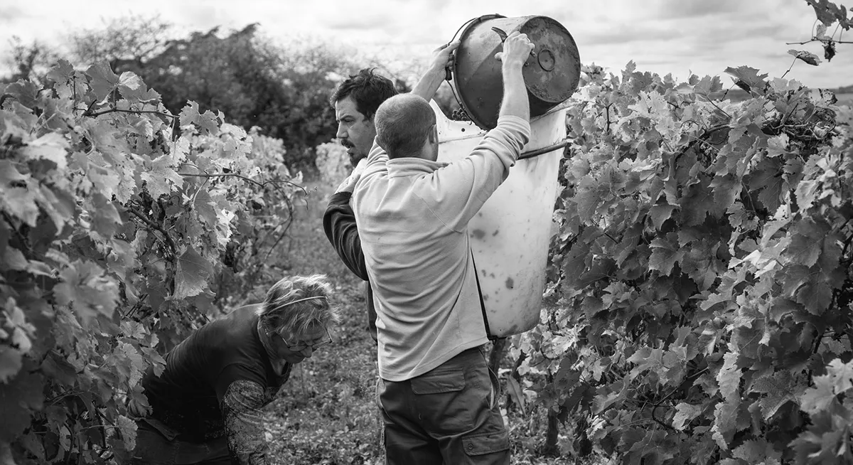 Domaine Arnaud Lambert