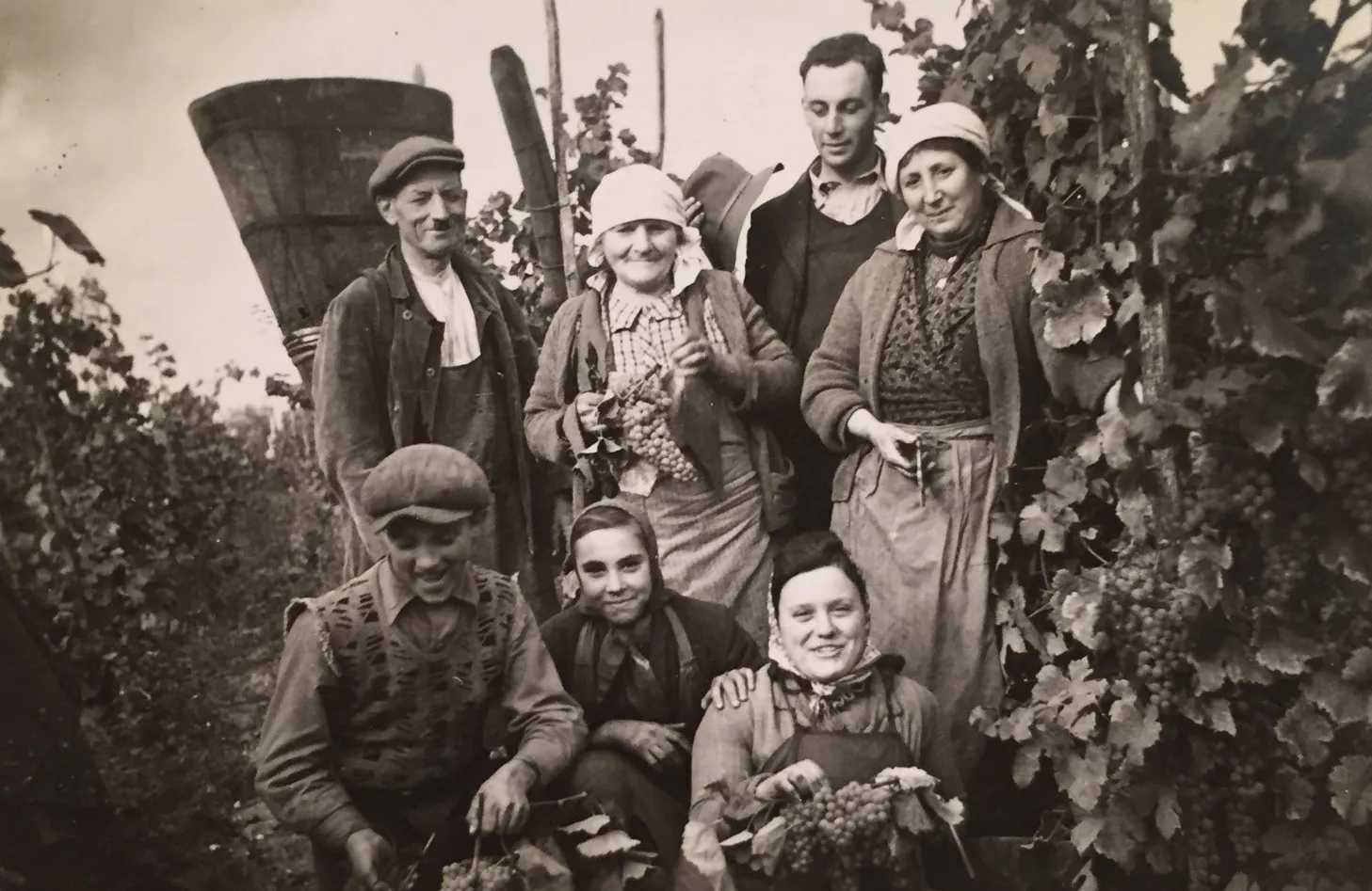 Domaine Bader-Mimeur