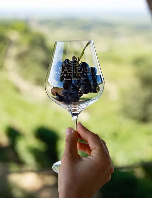 DOMAINE BEAU MISTRAL