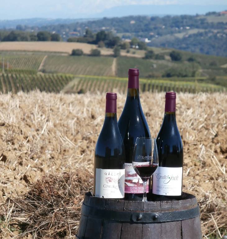 Photo de Domaine Benetiere Marie & Pierre