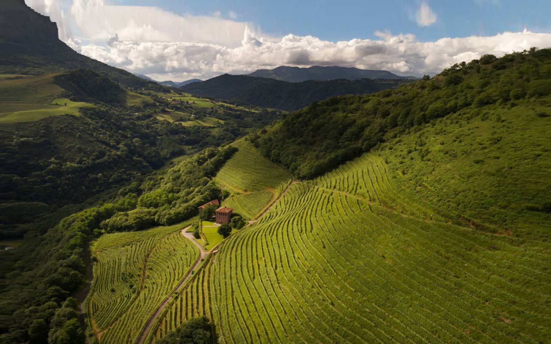 Photo de Domaine Brana