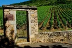 Domaine BRAZEY Pascal & Fils