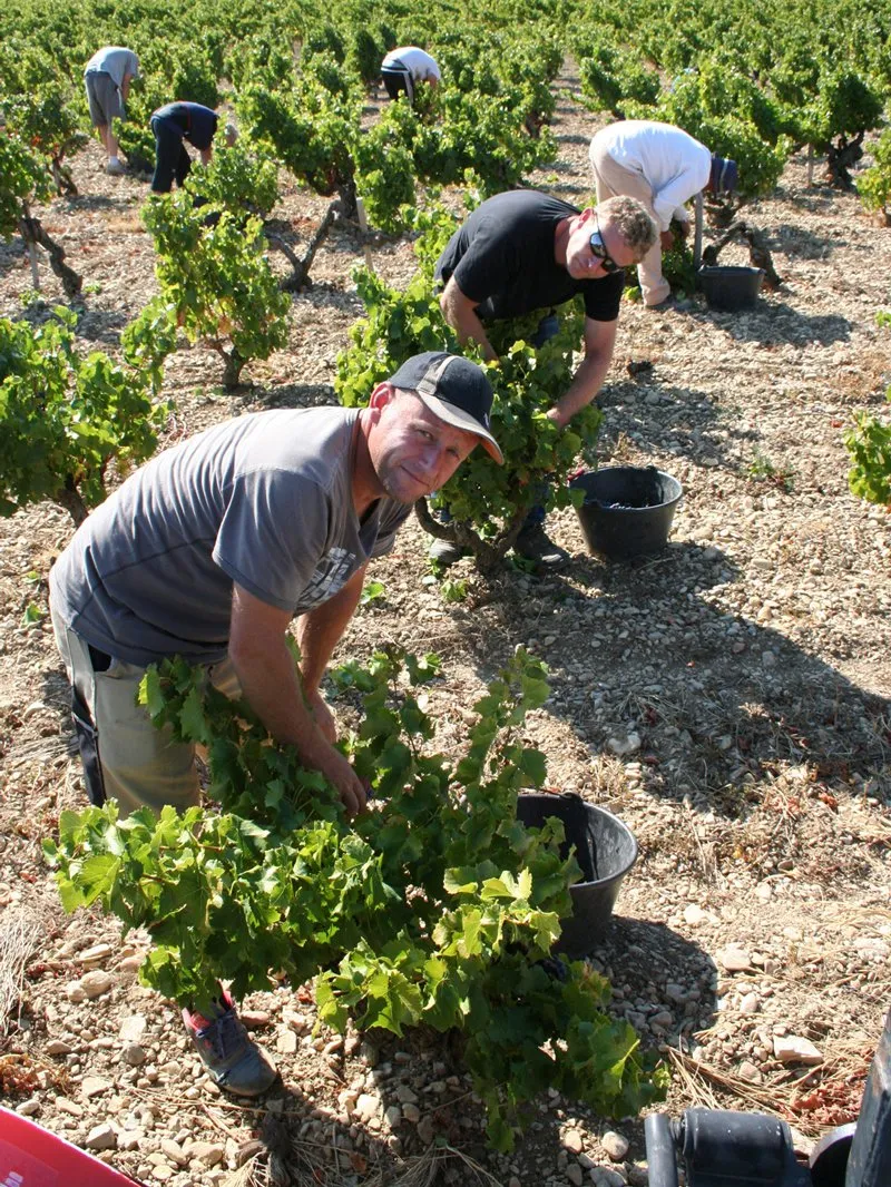 Domaine Burle Les Pallieroudas