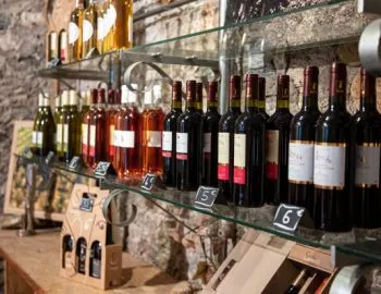 Photo de DOMAINE CARRIERE AUDIER