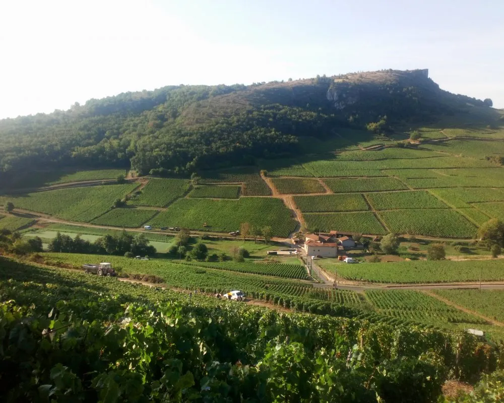 Photo de Domaine Chavet