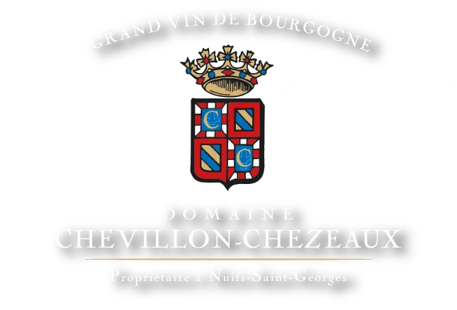 Domaine Chevillon Chezeaux