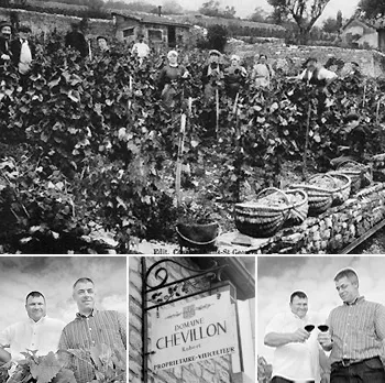 Domaine Chevillon Robert