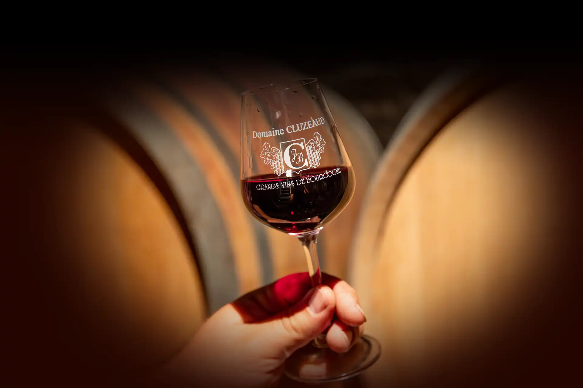 Bandeau Domaine Cluzeaud