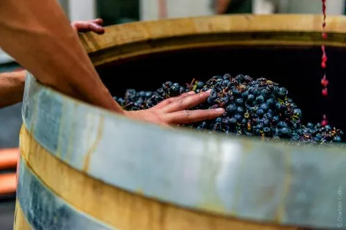 Photo de Domaine D’Arbousset