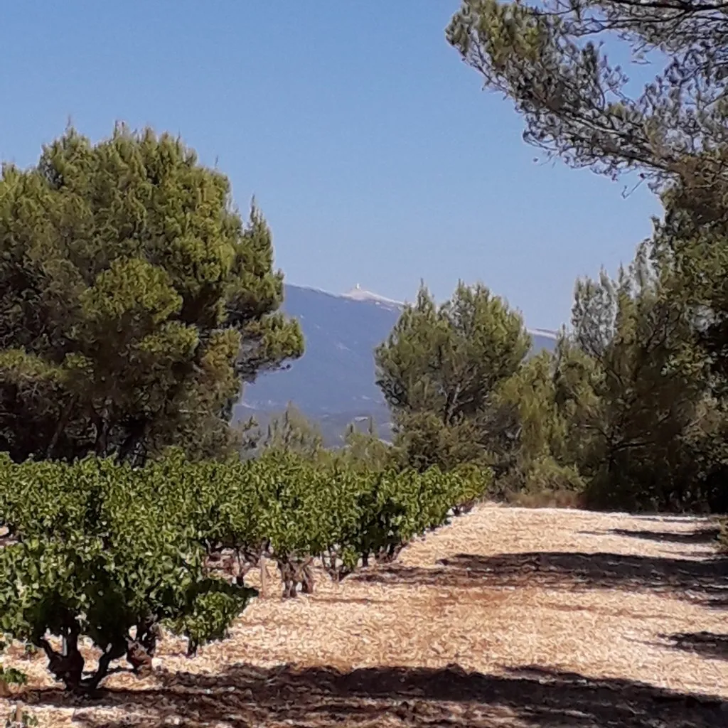 Domaine Dame de Lune