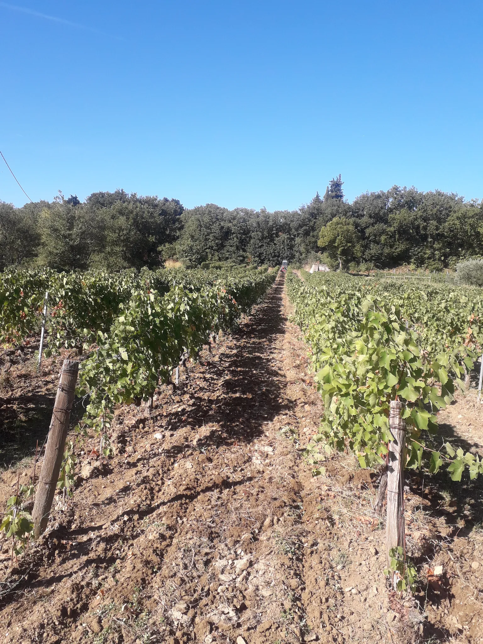 Photo de Domaine Dames de Lune