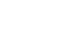 Logo DOMAINE DAMIEN BRUNEAU VALLÉE DE LA LOIRE